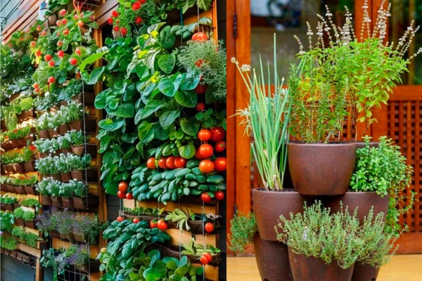 Jardinagem Vertical para Aproveitar ao Máximo Seu Espaço