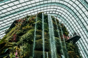 Átrio com jardim interno e vegetação abundante, exemplo de arquitetura biofílica aplicada a espaços residenciais.